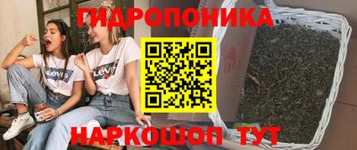 сатива Балахна