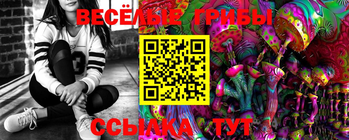 Галлюциногенные грибы Magic Shrooms Елец
