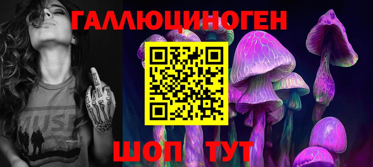Галлюциногенные грибы MAGIC MUSHROOMS  Вход с VPN  Елец 